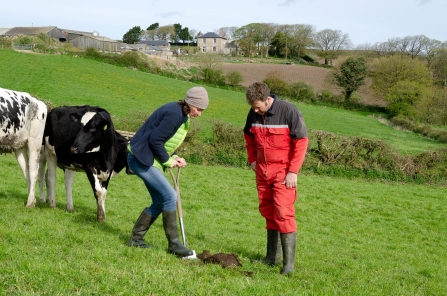 Working with farmers Jan Dinsdale Treganhoe