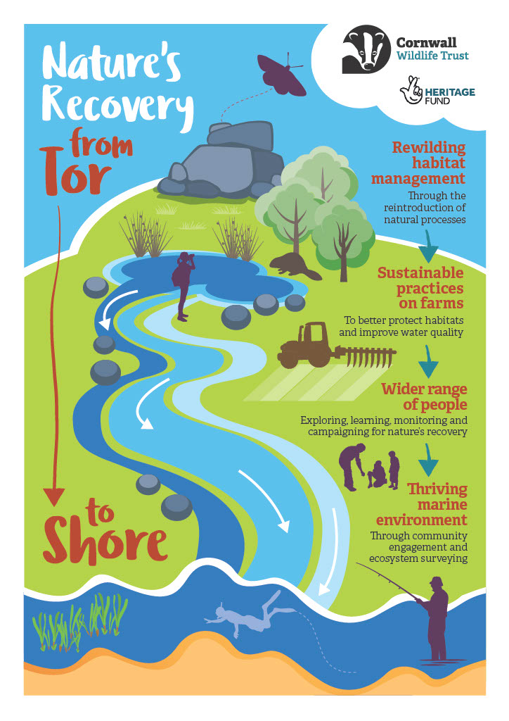 A poster about Tor to Shore