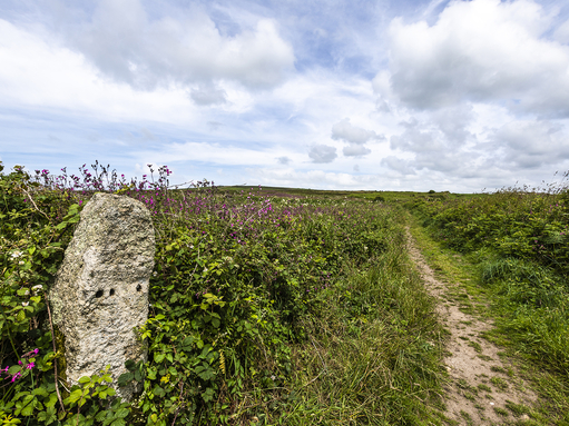 Bartinney | Cornwall Wildlife Trust