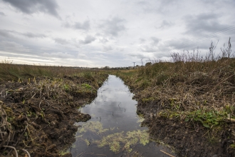 Loggan's Moor