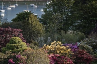 Cornwall’s wildlife gardens open for the Trust