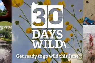 30 Days Wild in Cornwall