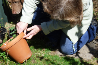 What's under that pot? © Rowena Millar