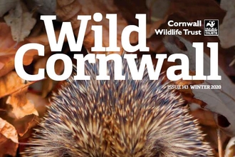 Wild Cornwall - Issue 143 - Winter 2020