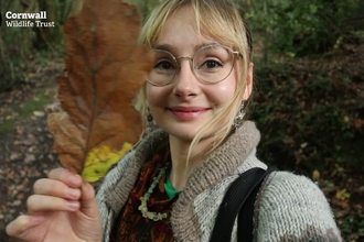 Emmeline Hardisty on a nature trail at Cornwall Wildlife Trust's Devichoys Wood nature reserve