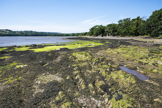 Tamar Estuary landscape by Ben Watkins