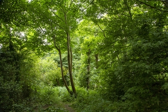 The Spinney, Camborne