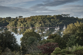 A shot of Pedn Billy, with the Helford River in the middle and an assortment of trees and shrubs in the foreground and background.