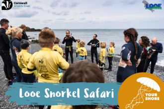 A group of people on a beach being taught how to use a snorkel