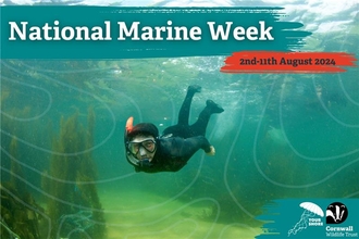 A person snorkelling with text: National Marine Week, 2-11th August