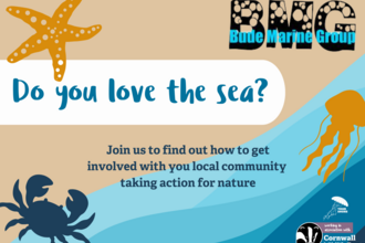 A digital poster with a beach-inspired theme featuring a starfish, crab, and jellyfish illustrations. The main text reads, "Do you love the sea?" with an invitation below: "Join us to find out how to get involved with your local community taking action for nature", with logos for Cornwall Wildlife Trust, Your Shore and Bude Marine Group