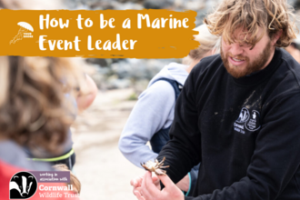 A person holds a small marine creature, other people are slightly blurred in the background and the person in focus is on the right of the photo. Text reads "How to be a Marine Event Leader" on an orange banner. Cornwall Wildlife Trust logo is in the bottom left. 