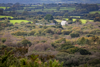 A view from Helman Tor overlooking Breney Common - a wet woodland area.