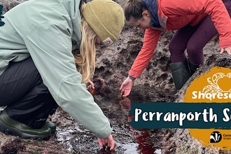 Two people bend over and peer into a rockpool