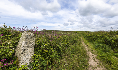 Path to Cornwall Wildlife Trust's Bartinney nature reserve by Ben Watkins