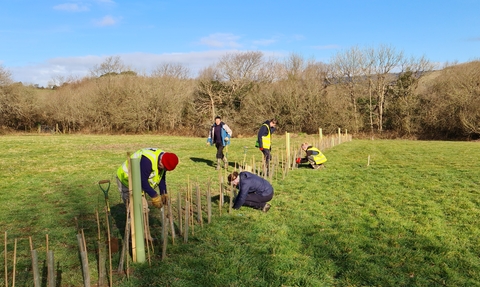 KG volunteers tree planting