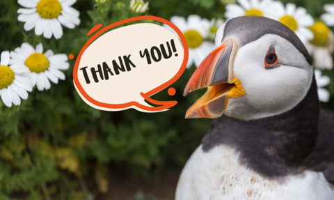 Puffin saying thank you