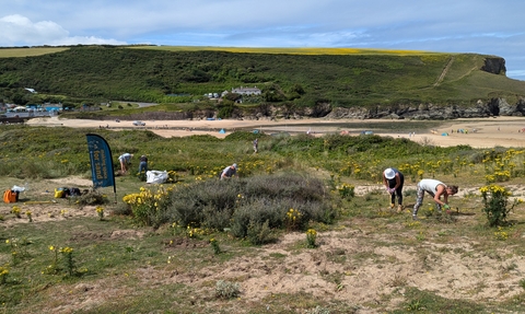 People participating in a conservation effort on a coastal dune. A banner reading 'Making space for sand' and some tools are visible. The beach is in the background.