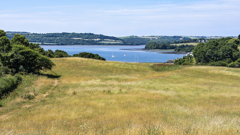 Churchtown Farm nature reserve