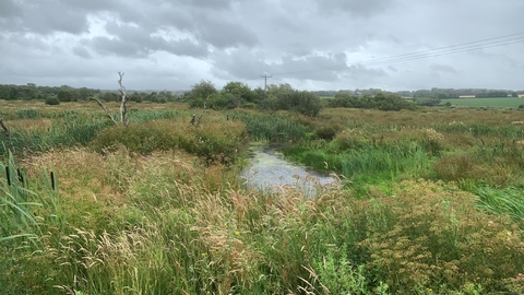 Middle Amble Marsh