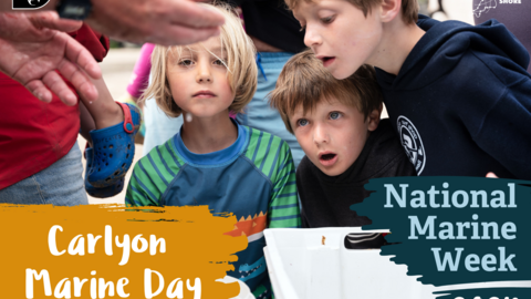 A group of children staring into a bucket with text: National Marine Week 2024, Carlyon Marine Day