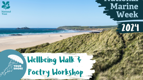 A landscape photography of Godrevy beach with text: National Marine Week 2024, Wellbeing Walk & Poetry Workshop, with the Cornwall Wildlife Trust and National Trust logos 