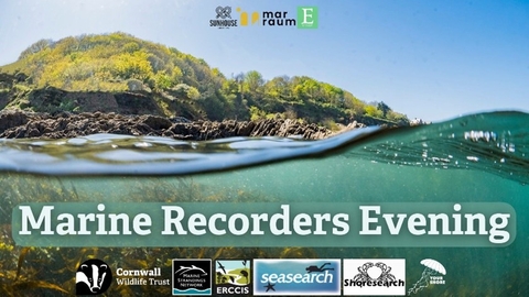 An image showing above and below the water - a green coastal cliff and blue sky above the water and blue sea with some seaweed below. Image states 'Marine Recorders Evening' with logos for Cornwall Wildlife Trust, Marine Strandings Network, ERCCIS, Seasearch, Shoresearch and Your Shore