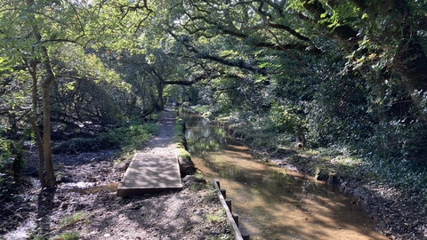 Tywardreath Marsh