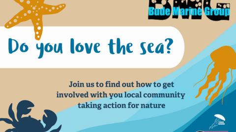 A digital poster with a beach-inspired theme featuring a starfish, crab, and jellyfish illustrations. The main text reads, "Do you love the sea?" with an invitation below: "Join us to find out how to get involved with your local community taking action for nature", with logos for Cornwall Wildlife Trust, Your Shore and Bude Marine Group