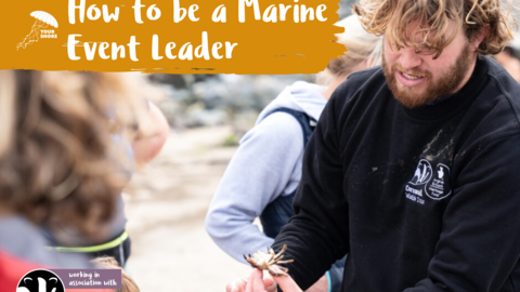 A person holds a small marine creature, other people are slightly blurred in the background and the person in focus is on the right of the photo. Text reads "How to be a Marine Event Leader" on an orange banner. Cornwall Wildlife Trust logo is in the bottom left. 