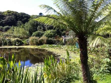 Cornwall’s wildlife gardens open for the Trust