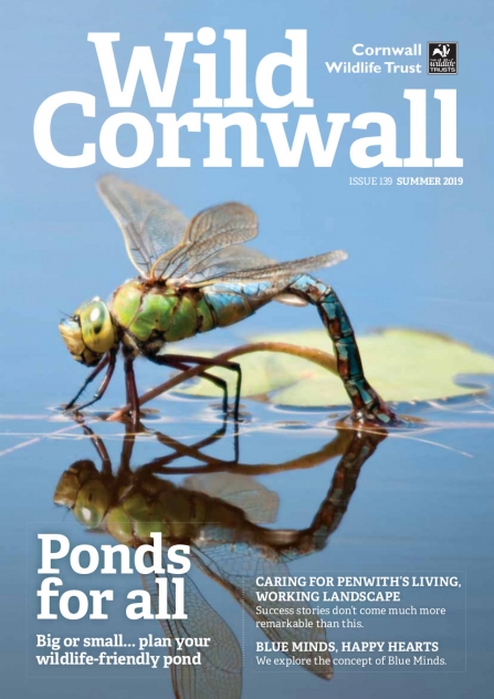 Wild Cornwall - Issue 139 - Summer 2019
