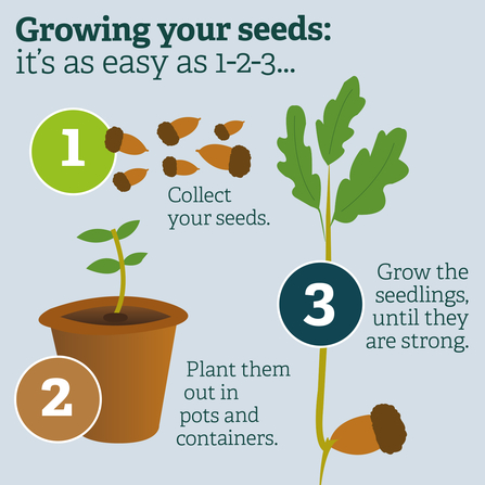 Growing your seeds is as easy as 1-2-3