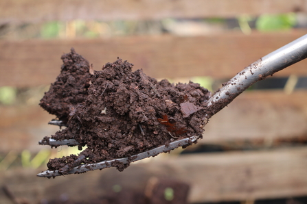 Compost choice