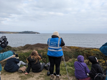 Sea Watching