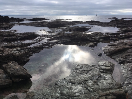 Rockpools