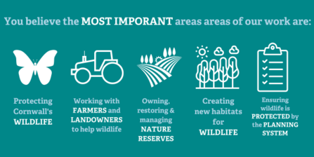 the most important areas of our work are protecting wildlife, working with farmers, restoring nature reserves, creating new habitats, and ensuring wildlife is protected
