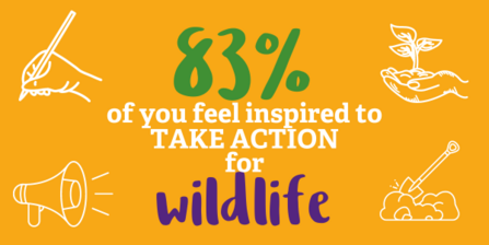 83% of you feel inspired to take action for wildlife