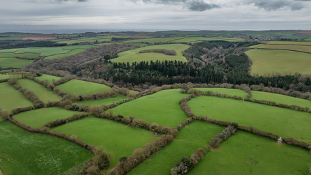 West Muchlarnick Farm - from the air, April 2024