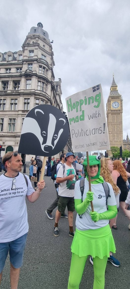 People participating in a protest. One person holds a sign with a large badger image; another person, dressed as a frog, holds a sign reading "Hopping mad with Politicians! Restore Nature Now". Big Ben is visible in the background.