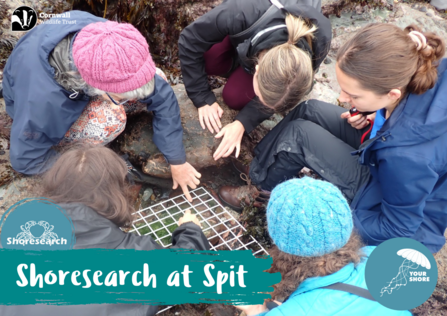 A group of people looking at a grid over a rockpool