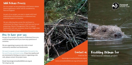 A leaflet on beavers