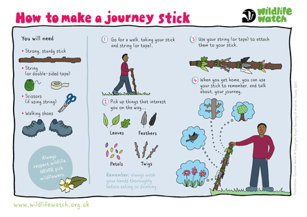 Journey Stick