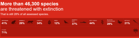 Infographic displaying that over 46,300 species are threatened with extinction, representing 28% of all assessed species. Breakdown: 41% of amphibians, 26% of mammals, 34% of conifers, 12% of birds, 37% of sharks and rays, 44% of reef corals, 28% of selected crustaceans, 21% of reptiles, and 71% of cycads.