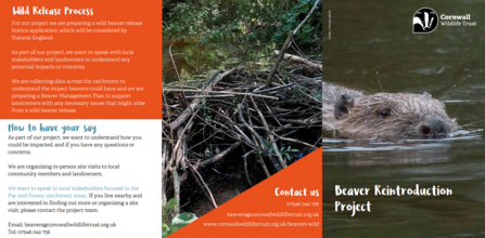 A leaflet on beavers