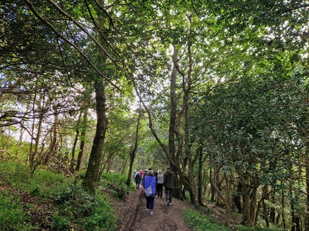 Wildlife Patrons walking through Devichoys Woods