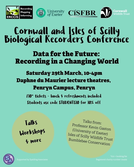 A poster advertising the 2025 ERCCIS recorders conference 