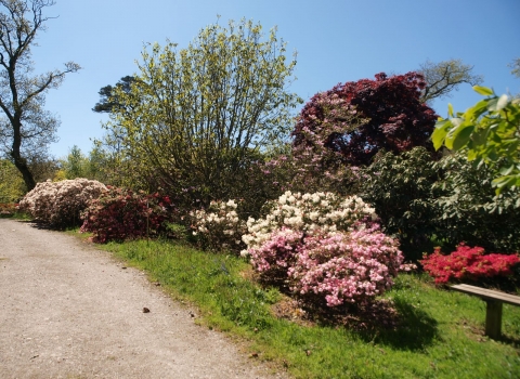 Garden path