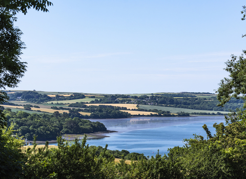 View through the trees at Churchtown Farm overlooking the estuary