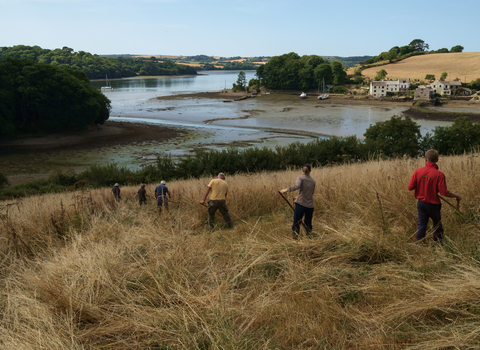 Volunteers and Reserves staff scything at Churchtown Farm